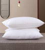 Fiber Pillow - Set of 2