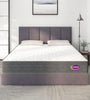 Cozzy Pocket Spring Mattress